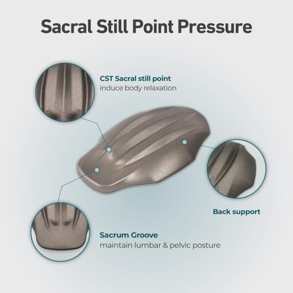 Lumbar Nap Lower Back Stretcher Traction Device for Posture Correction Designed by a Phyiscal Therapist