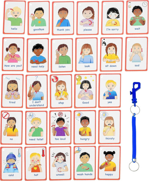 Special Needs My Communication ASL Cards for Speech Delay Non-Verbal or Deaf Children and Adults. 27 Visual Aid Cards, Special Ed, SEN Autism Resource